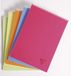 Clairefontaine 328635C Linicolor Fresh Pak met 5 Notitieblokken met Spiraalbinding aan Bovenkant - A4 (21×29,7 cm) - 160 Afscheurbare Pagina’s Kleine Ruitjes - Wit Papier 90 g - Polypro Omslag - Willekeurige Kleuren