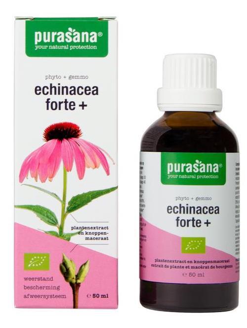 Purasana Echinacea Forte+ Druppels