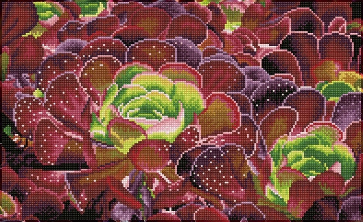 Diamond Dotz DQ9.008 - Diamond painting volwassenen - Vetplant paars groen 32 x 52cm - Vierkante steentjes - Diamond painting pakket volledig