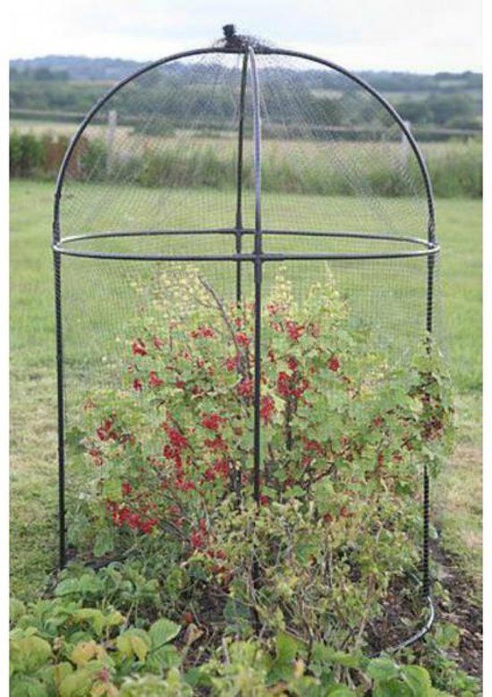 Fruitkooi rond 1.5 m hoog