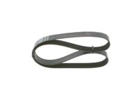 BOSCH Keilrippenriemen 1987946266