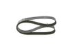 BOSCH Keilrippenriemen 1987946266