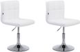 CLP Palma V2 Set van 2 Lounger - Kunstleer wit