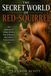 THE SECRET WORLD OF RED-SQUIRREL: Exploring the Private World of One of Nature’s Most Elusive Forest Creatures