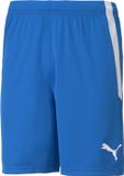 PUMA teamLIGA Shorts Heren - Electric Blue Lemonade-Puma White