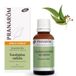 Pranarôm Huile Essentielle Eucalyptus Radiata Bio 30 ml