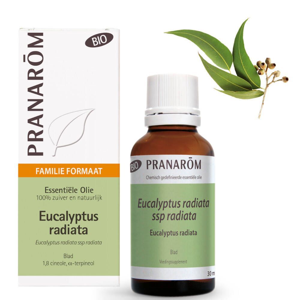 Pranarôm Essentiële Olie Eucalyptus Radiata Bio 30 ml