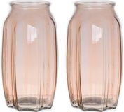 Bellatio Design Vase à fleurs - 2x - taupe/brun - verre transparent - 12 x 22 cm