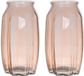 Bellatio Design Vase à fleurs - 2x - taupe/brun - verre transparent - 12 x 22 cm