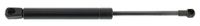 MAPCO Gasfeder, Koffer-/Laderaum 91884 | Compatibel met: SEAT CORDOBA