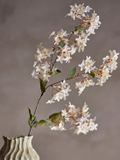 Bloomingville Myrtle Stem White