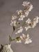 Bloomingville Myrtle Stem White