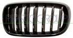 PRASCO BM8272004 frontgrillspoiler