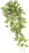 Flair Flower Kunstmatige Tradescantia Hangende Klimopwijnstok Garland Nep Kunstplant Struikplant Klimplant Hangplant Kamerplant Klimopwijnstok, 151723GNR, ca. 80x28x26 cm