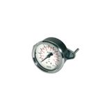 RIEGLER 101922-110.82 Standardmano, driehoekige frontring, G 1/4 achter, 0-1,6 bar, Ø 50, 1 st.