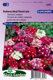 Sluis Garden Verbena Ideal Florist mix