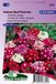 Sluis Garden Verbena Ideal Florist mix