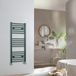 Hudson Reed Sèche serviettes eau chaude - 120 x 50 cm - Acier vert foncé - Design mural moderne