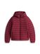 Tommy Hilfiger Tussenjas Bourgogne