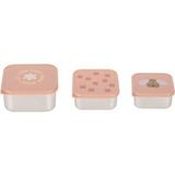 Lässig Roestvrije Snackbox 3 Delige Set - Party Rose