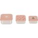 Lässig Roestvrije Snackbox 3 Delige Set - Party Rose