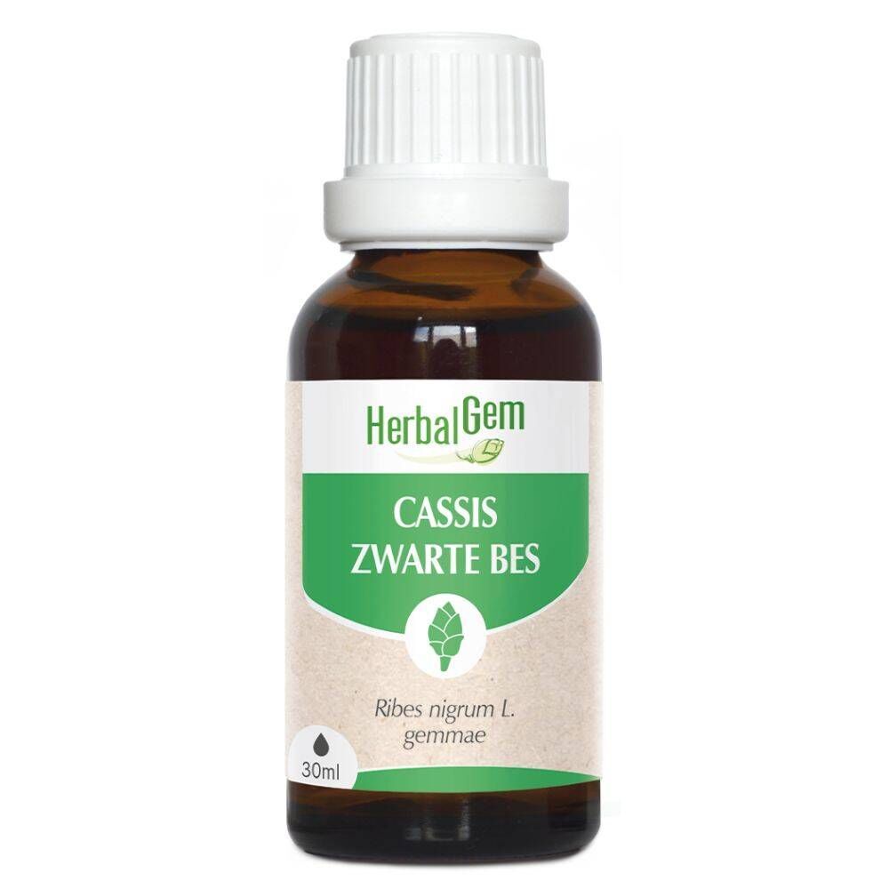 HerbalGem HerbalGem Zwarte Bes Bio