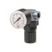 Riegler Drukbegrenzingsventiel, incl. manometer, G 1/4, instelbereik 0,1-2,0 bar