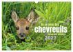 Un Calvendo Un an avec des chevreuils (Calendrier mural 2027 DIN A3 vertical), CALVENDO calendrier mensuel
