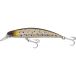 Berkley Minnow Dex Bullet Jerk Sinking 7.5g 80 mm