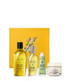 L'OCCITANE Ensemble de soins corporels Amande Sublime