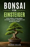 Bonsai für Einsteiger: Arten wählen, richtig gießen, schneiden, drahten, umtopfen und ganzjährig pflegen