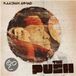 Push - Raashan Ahmad