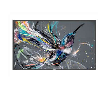 Philips 50BDL3550Q/00 - 49.5" Signage Display - 4K Ultra HD