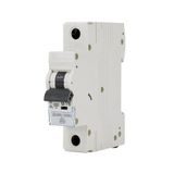 Automatische schakelaar 6KA 1P B 25A, elektrische circuitbeveiliging, voorkomt overbelasting en kortsluiting in elektrische installaties.