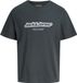 JACK&JONES JWHVESTERBRO NEWTON BRANDING TEE SS SN