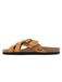 Bayton Muiltjes 'RIETI' camel