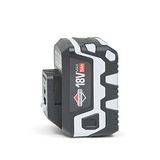 Briggs & Stratton 1697533 Lithium-Ion, 18 V, 5,0 Ah accu voor Murray, Sprint 18 V, met USB-aansluiting