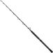Shimano Fishing Tyrnos B Stand Up Spiral Bodemvissen Hengel Zilver 1.65 m / 50 Lbs