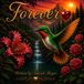Forever Paperback