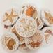 Mrs. Ertha Badpuzzel - Zeedieren Oceaan - 20 stuks