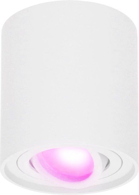HOFTRONIC SMART Ray smart Opbouwspot - Plafondspot - Kantelbaar - Rond GU10 - RGBWW - Wifi + Bluetooth - Wit
