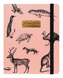 Kokonote® Premium Agenda 2021 2022 Vintage Animals