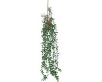 Bellatio Design Kunstbloem/kunsttak Eucalyptus hangend - 97 cm - groen