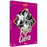 Plumes de cheval