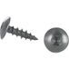 Vis Express Vis Penture 6x20 Filetage Total Torx T30 Inox A2 Noir - 100 Pièces