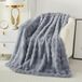 BeiJingLiangPinJiaZuoKeJiWenHuaFaZhanYouXianGongSi Superzacht Pluche Woondeken - Dik 1000GSM - voor Bed en Bank - Gris clair 160x200cm