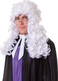 Bristol Novelty Ltd Bristol Novelty Unisex Judge Wig (White)