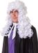 Bristol Novelty Ltd Bristol Novelty Unisex Judge Wig (White)