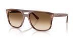 Ray-Ban RB2213 - Bruin
