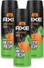 Axe 3 x Bodyspray Jungle Fresh - 150 ml